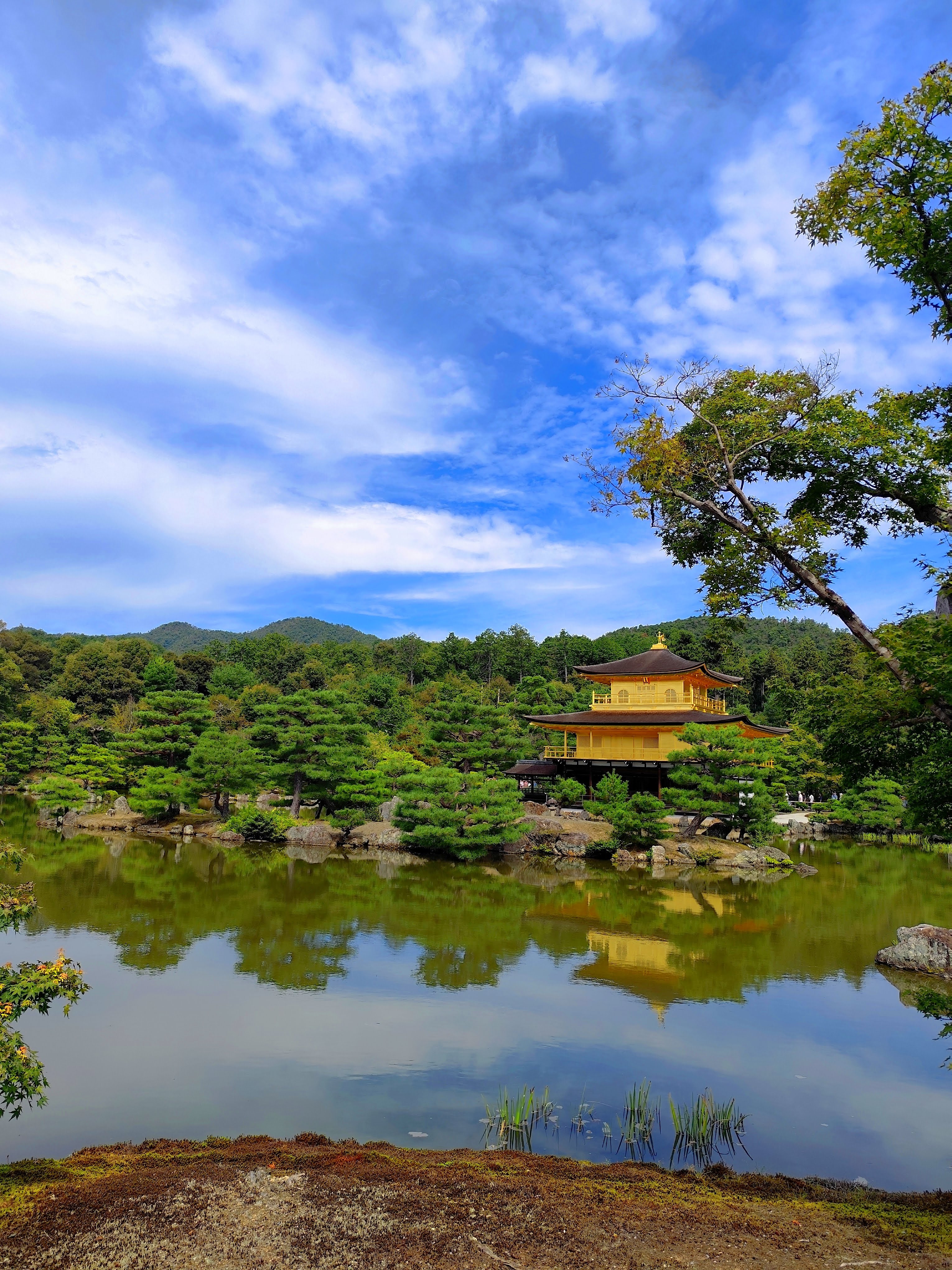 Temple Kinkaku-ji, le Pavillon d'or à Kyoto
