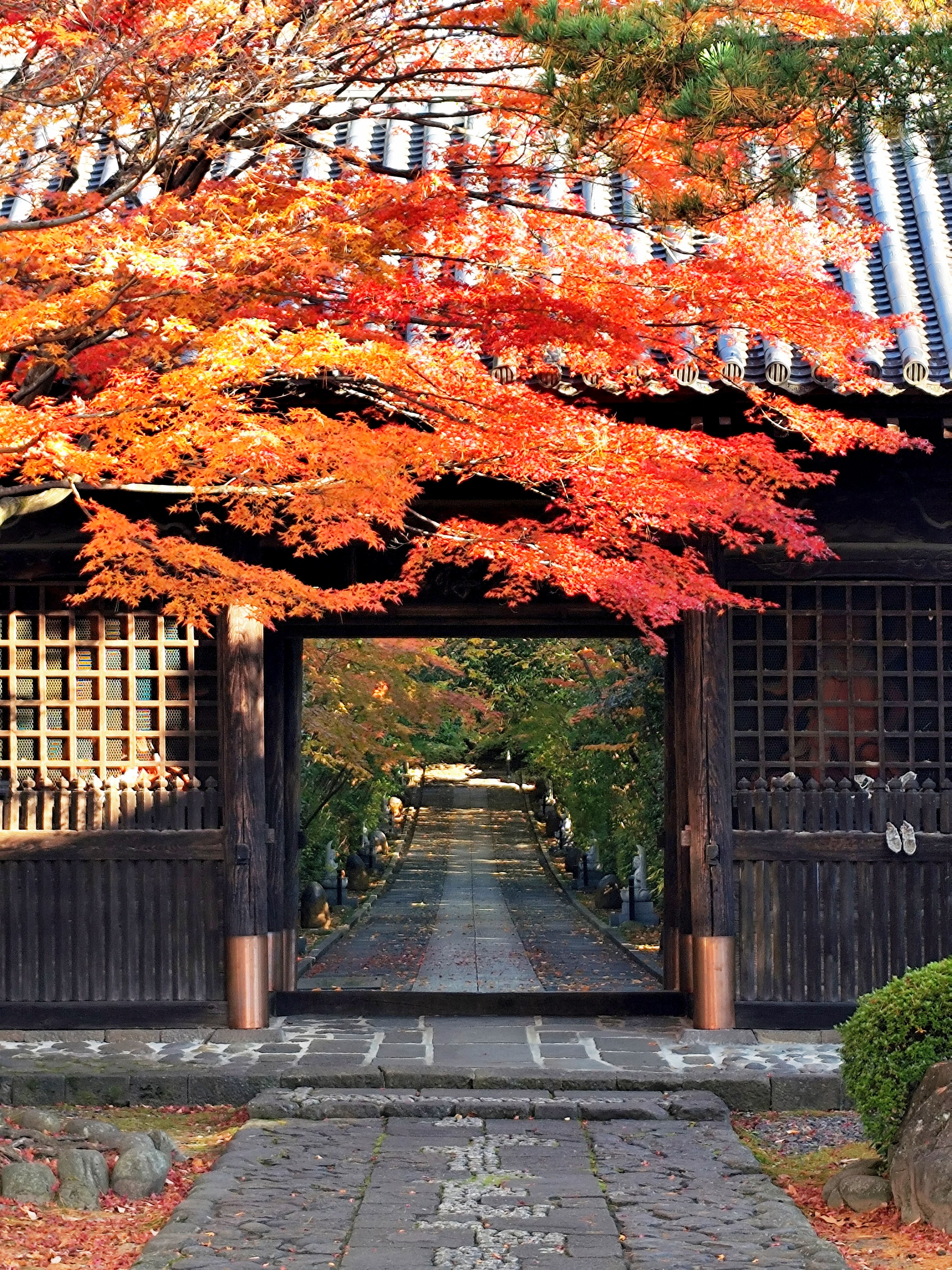 Porte du temple encadrée par les feuilles d'automne à Sendai